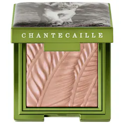 CHANTECAILLE Lion Collection Sheer Gel-Powder Matte Eye Shade