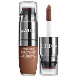 Lise Watier Perfection All-Over Skin Blurring Concealer