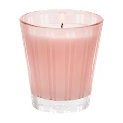 NEST New York Himalayan Salt & Rosewater Candle