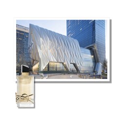 Yves Saint Laurent TRAVEL NOT INCLUDED) – FEEL LIKE A STAR (TORONTO